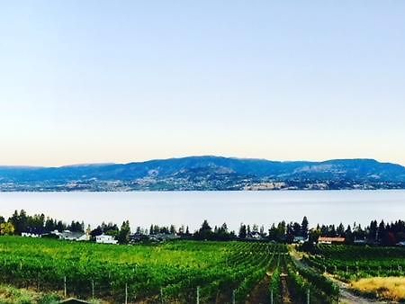 Summerhill Estate House Bed & Breakfast Kelowna Exterior photo
