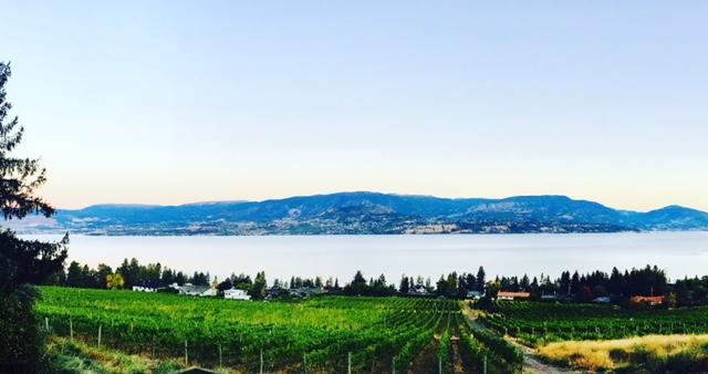Summerhill Estate House Bed & Breakfast Kelowna Exterior photo